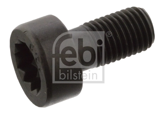 Flywheel Bolt
